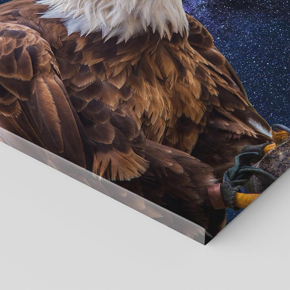 Obraz na płótnie 100x70 - Orzeł w niebieskiej przestrzeni - orzeł, ptak