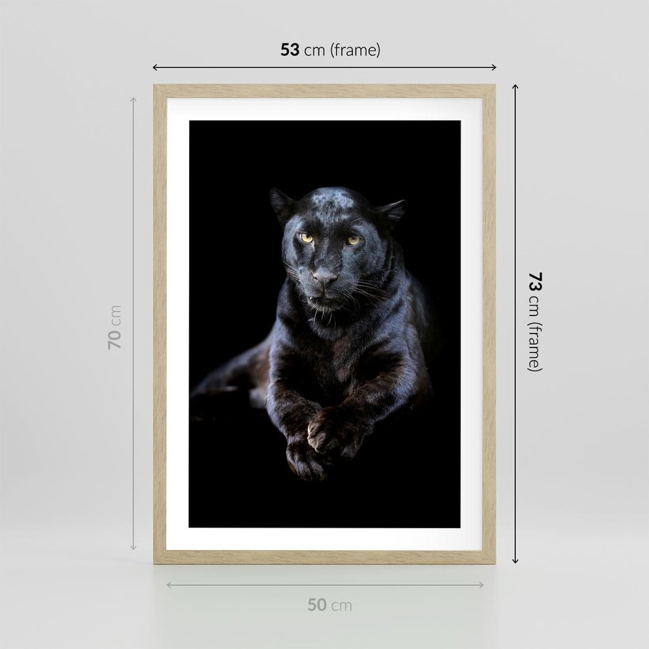 Plakat w ramie 50x70 - Czarna pantera: majestat i siła - czarna, pantera - rama drewno