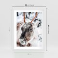 Plakat w ramie 30x40 - Renifer w Zimowej Krainie - renifer, zima - rama biała