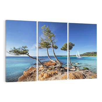 Obraz na płótnie 120x80 - Korsyka - morze i drzewa - Korsyka, morze