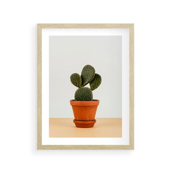 Plakat w ramie 30x40 - Kwiatowy taniec kaktusa - kaktus, kwiat - rama drewno