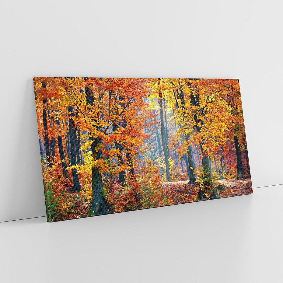 Obraz na płótnie 120x60 - Jesienny taniec lasu - jesień, las