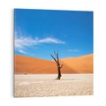 Obraz na płótnie 80x80 - Słońce i Suche Drzewo - pustynia, suche