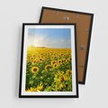 Plakat w ramie 50x70 - Idylla na łące słoneczników - łąka, słoneczniki - rama czarna