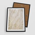 Plakat w ramie 50x70 - Białe Trawy Pampas - suche trawy, białe trawy - rama czarna