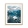 Plakat w ramie 40x50 - Łabędzi Śpiew - fotografia, plakat - rama drewno