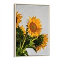 Obraz w ramie 80x120 - Słoneczna Radość - fotografia, żółte słoneczniki - rama drewno