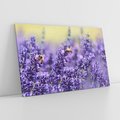 Obraz na płótnie 100x70 - Magia lawendy delikatne kwiaty - lawenda, kwiat
