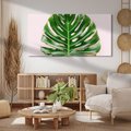 Obraz na płótnie 120x60 - Egzotyczna Roślinność - liście, monstera