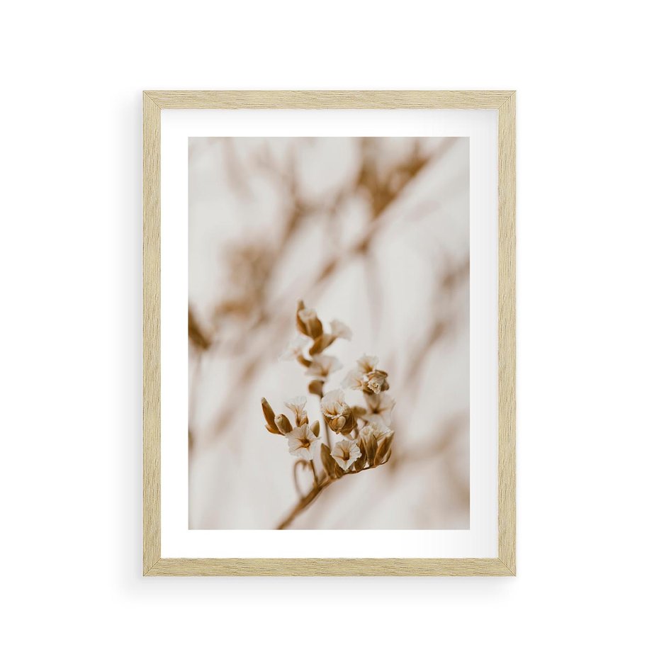 Plakat w ramie 30x40 - Kwiatowa suchość - kwiaty, susz - rama drewno