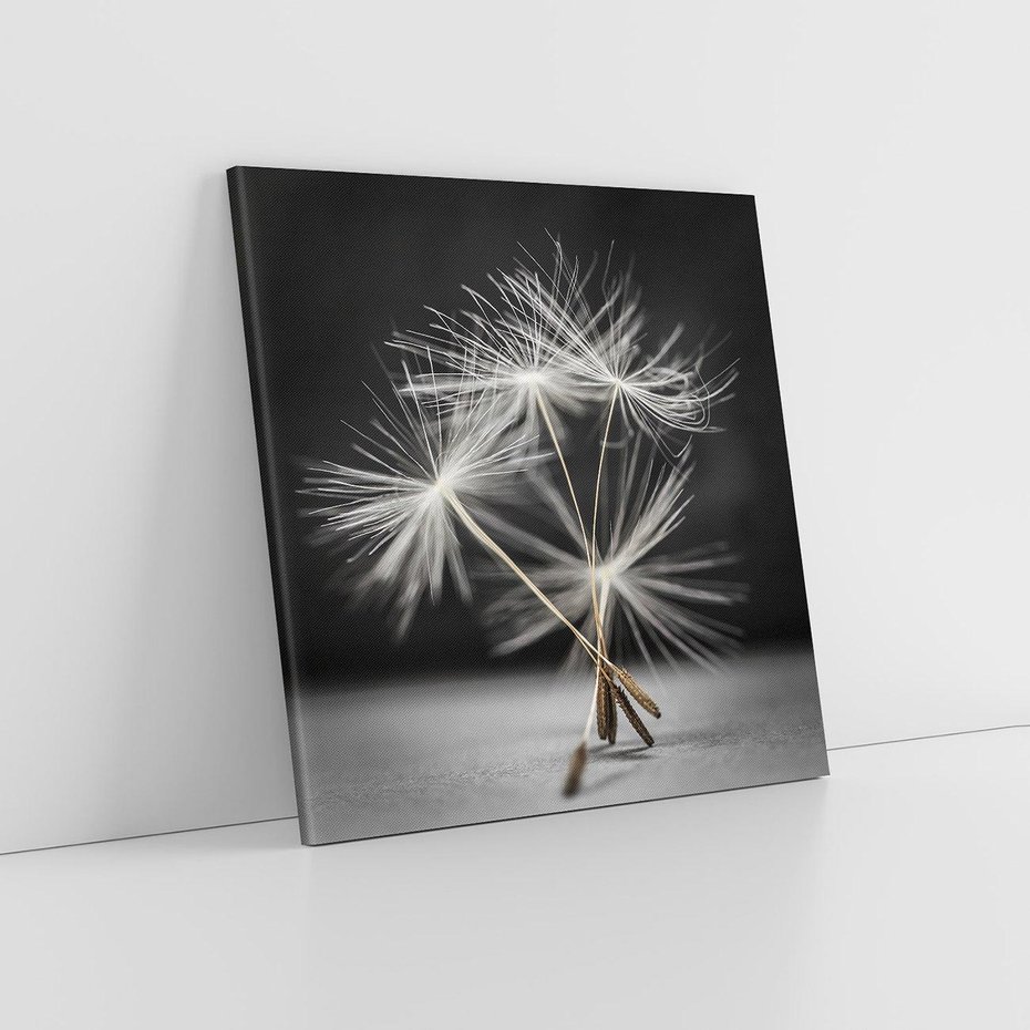 Obraz na płótnie 60x60 - Delikatność dmuchawców zbliżenie - dmuchawce, zbliżenie