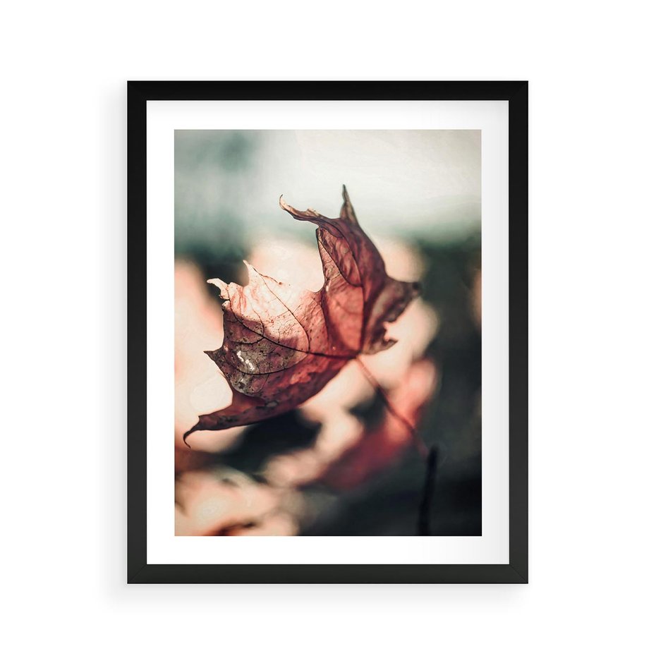 Plakat w ramie 40x50 - Liść w Jesieni - jesienny liść, czerwony - rama czarna