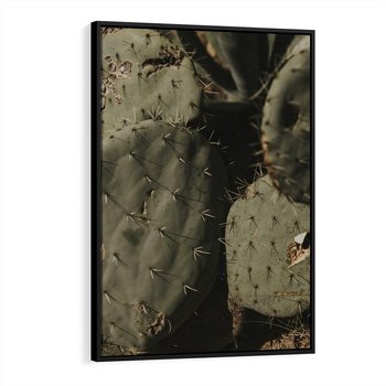 Obraz w ramie 70x100 - Urok Egzotyki - kaktusy, boho - rama czarna