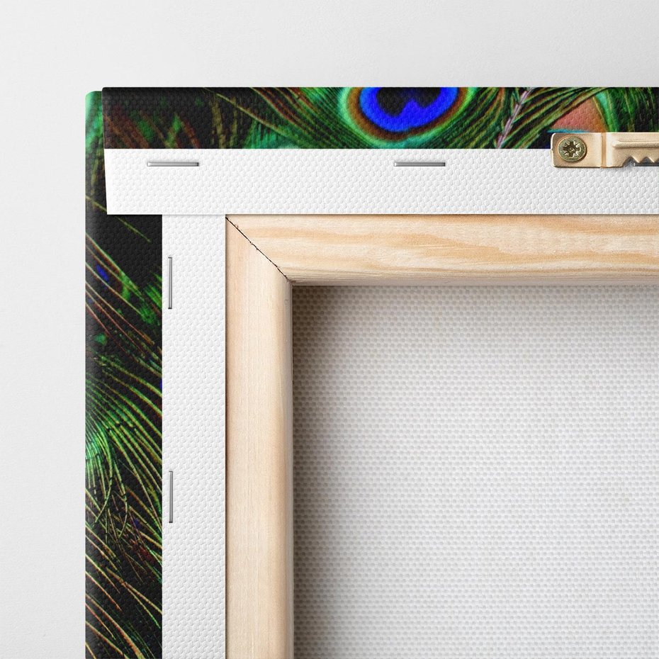 Obraz na płótnie 50x70 - Pawi Ogon - Piękno i Wspaniałość - paw, pióra