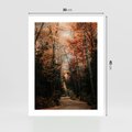 Plakat bez ramy 30x40 - Drzewa w Czerwonych Liściach - las, jesienny las