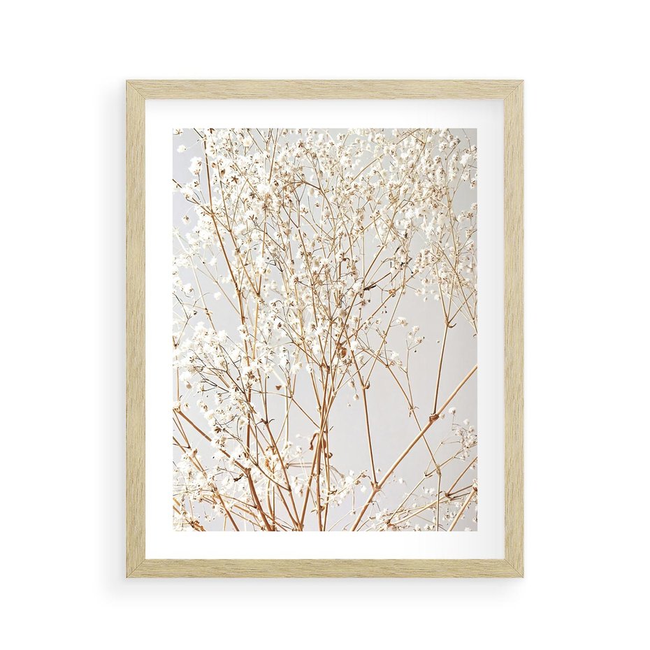 Plakat w ramie 40x50 - Minimalistyczna Delikatność - białe kwiaty, gipsówka - rama drewno