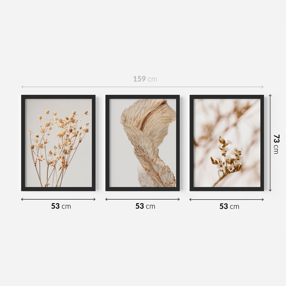 Zestaw obrazy w ramie 50x70 galeria - Suche, kwiaty, pampas, trawy, boho - rama czarna