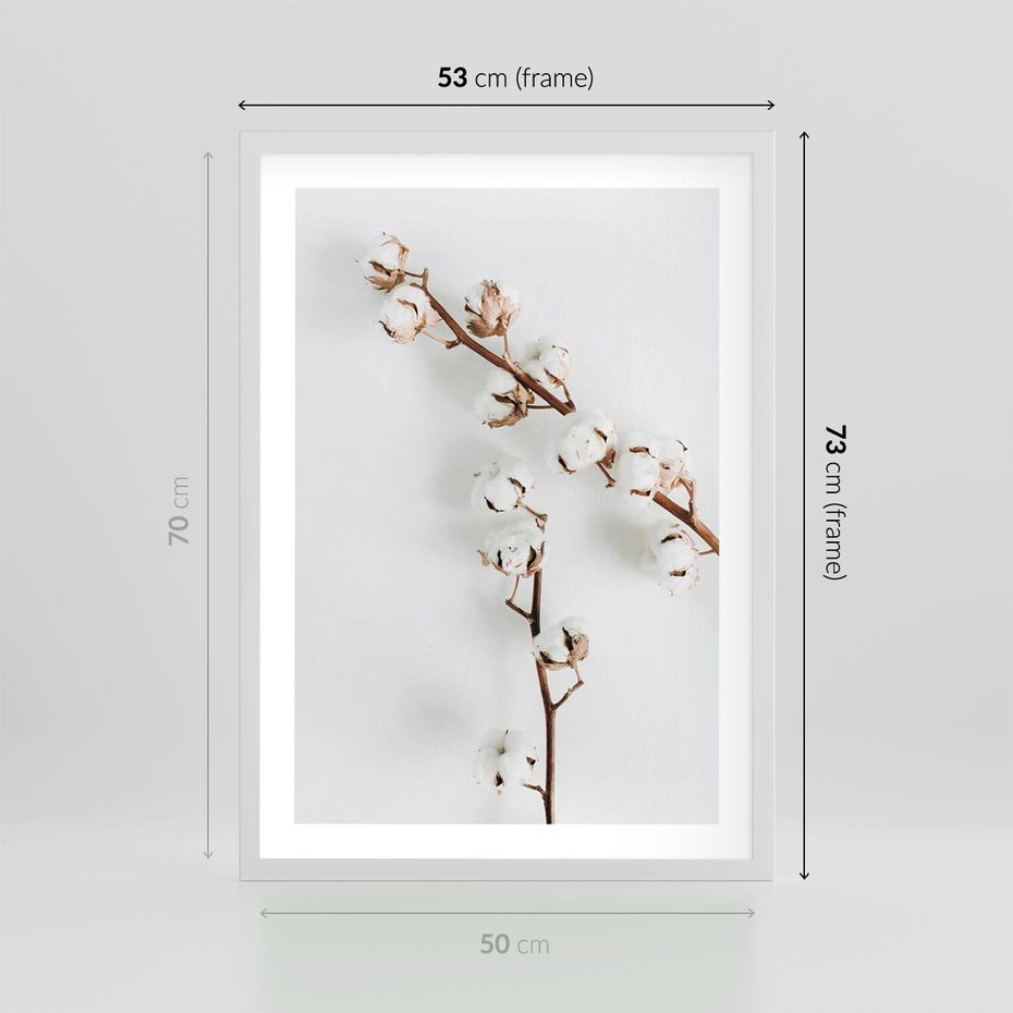 Plakat w ramie 50x70 - Gałęzie Bawełny na Białym Tle - gałęzie bawełny na białym tle, minimalizm - rama biała