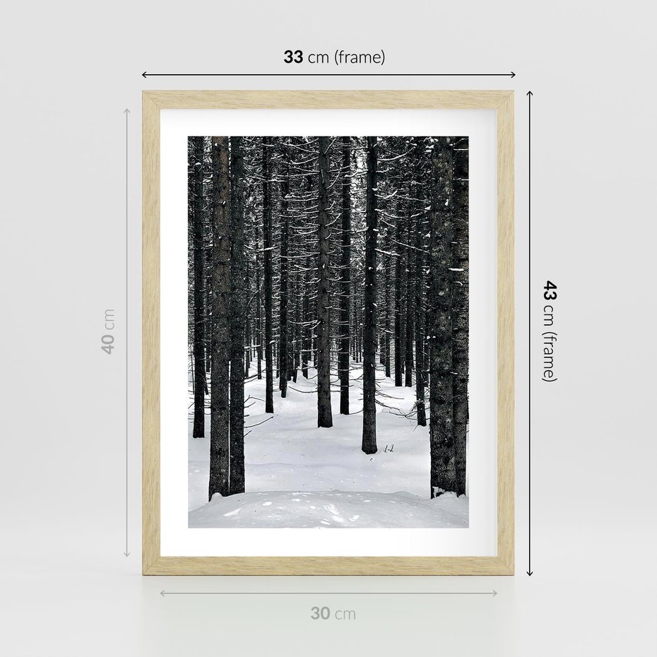 Plakat w ramie 30x40 - Zimowe Drzewa: Śnieg na Pniach - drzew w zimi, pnie drzew - rama drewno