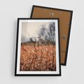 Plakat w ramie 50x70 - Jesienna Melancholia - suche trawy, jesień - rama czarna