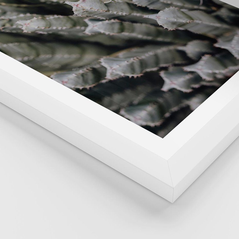 Plakat w ramie 30x40 - Boho kaktusy na pustyni - kaktusy, pustynia - rama biała