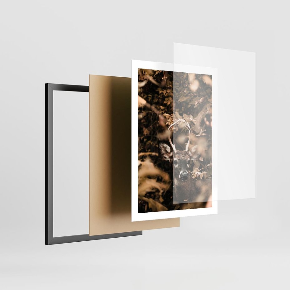 Plakat w ramie 50x70 - Jesienny Jeleń w Lesie - jeleń, w lesie - rama czarna