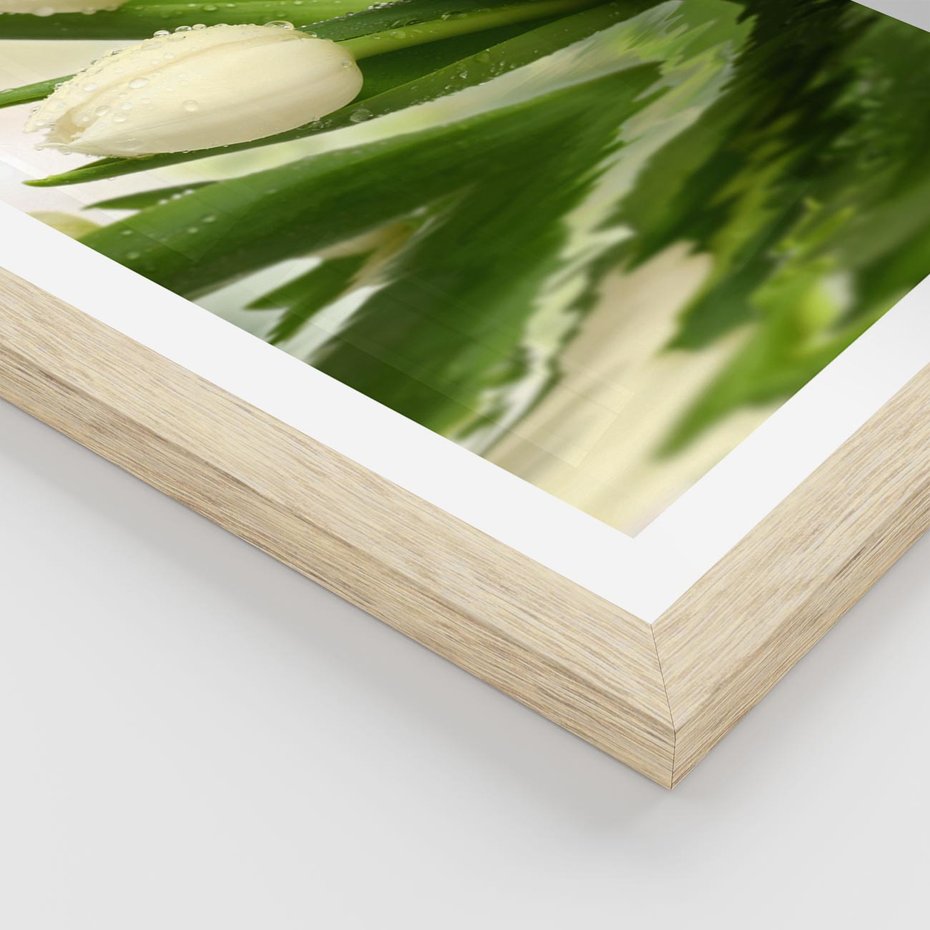 Plakat w ramie 40x50 - Białe Piękno - białe, tulipany - rama drewno