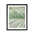 Plakat w ramie 40x50 - Liście Palmy: Egzotyczna Grafika - palma, liście palmy - rama czarna