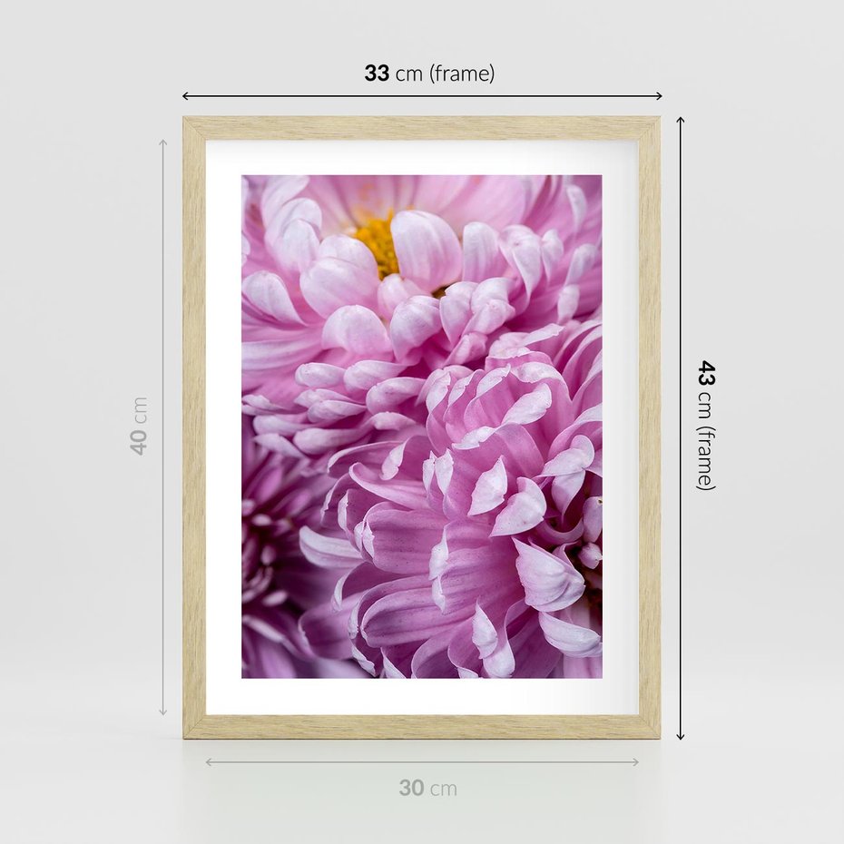 Plakat w ramie 30x40 - Fioletowy zawrót głowy - kwiat, różowy kwiat - rama drewno