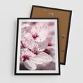 Plakat w ramie 50x70 - Kwitnąca Wiśnia - kwiaty, kwitnąca - rama czarna