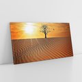 Obraz na płótnie 140x70 - Pustynia - Drzewo i słońce - pustynia, drzewo