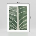 Plakat bez ramy 40x50 - Zielone Wielkości: Zbliżenie Liścia - zbliżenie duz liść, jasna zieleń