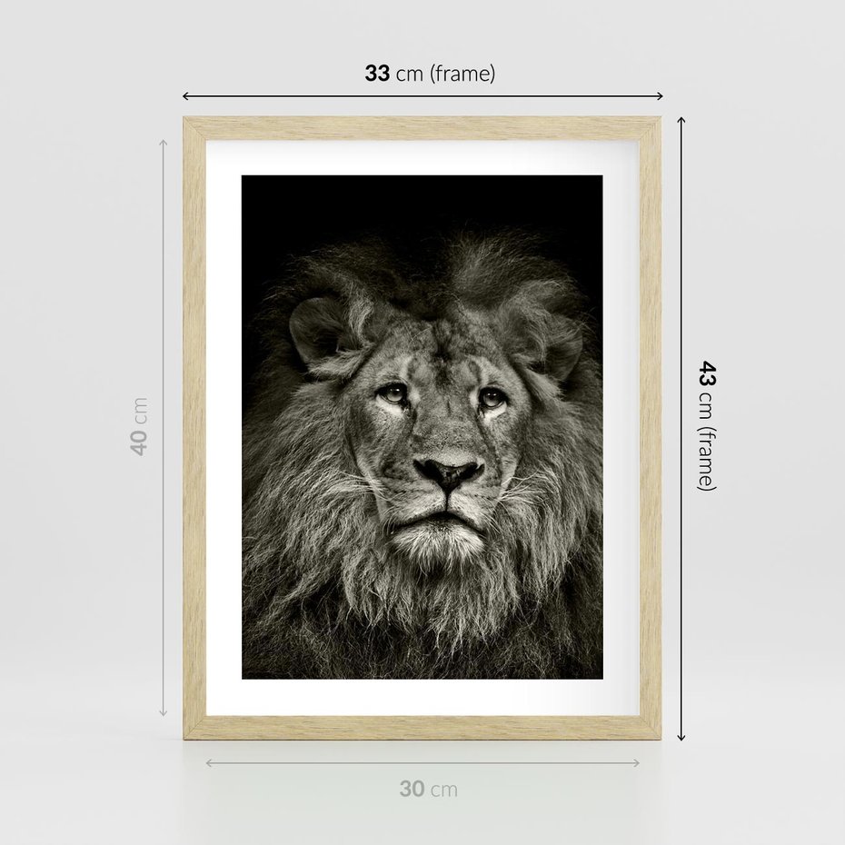 Plakat w ramie 30x40 - Moc lewego spojrzenia - lew, czarno - rama drewno
