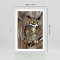 Plakat w ramie 50x70 - Tajemniczy Stróż - sowa, las - rama biała