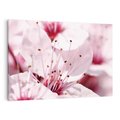 Obraz na płótnie 70x50 - Kwitnąca Wiśnia - kwiaty, kwitnąca
