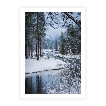 Plakat bez ramy 40x50 - Śnieżne cuda - zima, las