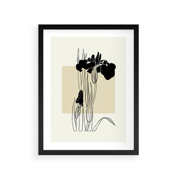 Plakat w ramie 40x50 - Rozkwitające w konturach - irys, kwiaty - rama czarna