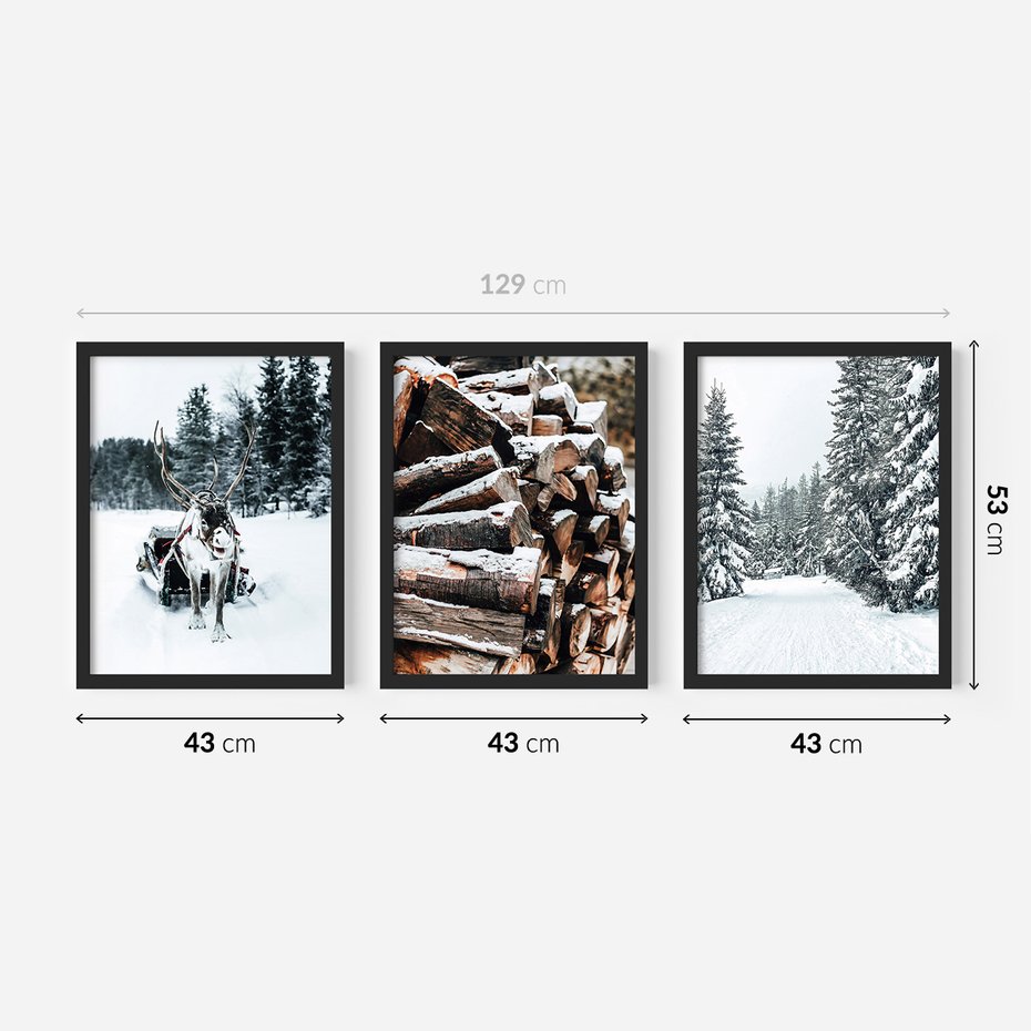 Zestaw obrazy w ramie 40x50 galeria - Zima, las, renifer, krajobraz - rama czarna