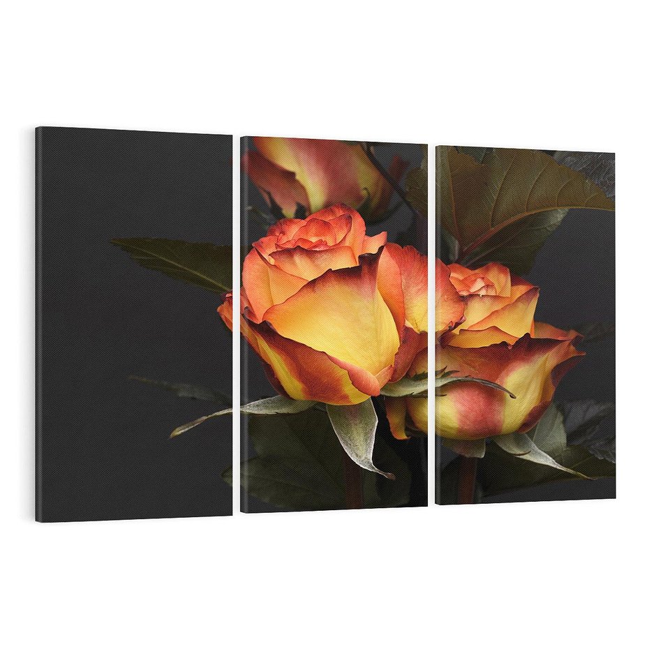 Obraz na płótnie 120x80 - Romantyczne Piękno Róż na Tle Natury - róże, kwiaty