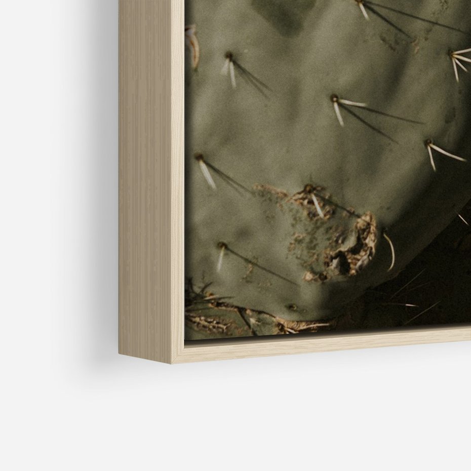 Obraz w ramie 50x70 - Urok Egzotyki - kaktusy, boho - rama drewno