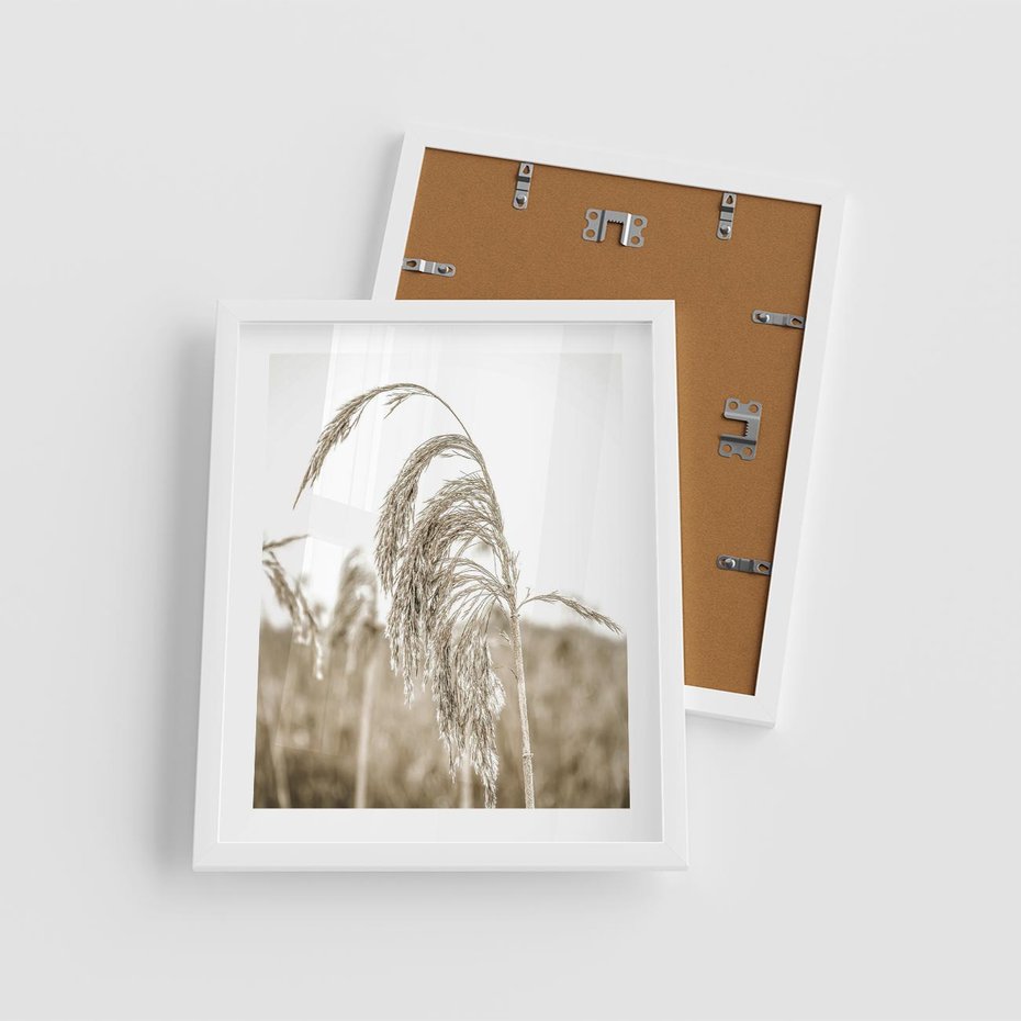 Plakat w ramie 40x50 - Ujęcie Suchych Traw - suche trawy, zbliżenie - rama biała