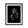 Plakat w ramie 40x50 - Czarna pantera: majestat i siła - czarna, pantera - rama czarna
