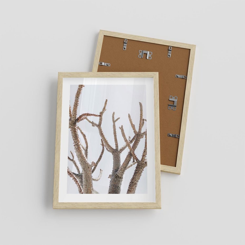 Plakat w ramie 30x40 - Pustynna Harmonia Gałęzi - pustynna roślina, suche gałęzie - rama drewno