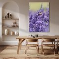 Obraz na płótnie 50x70 - Magia lawendy delikatne kwiaty - lawenda, kwiat