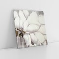 Obraz na płótnie 50x50 - Tekstura Kwiatu - białe kwiaty, duży kwiat