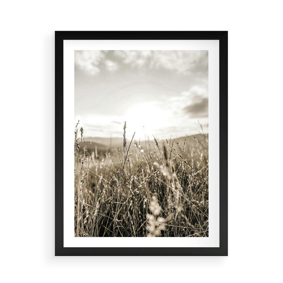 Plakat w ramie 50x70 - Łąka w Klimacie Sepii - suche trawy, łąka - rama czarna