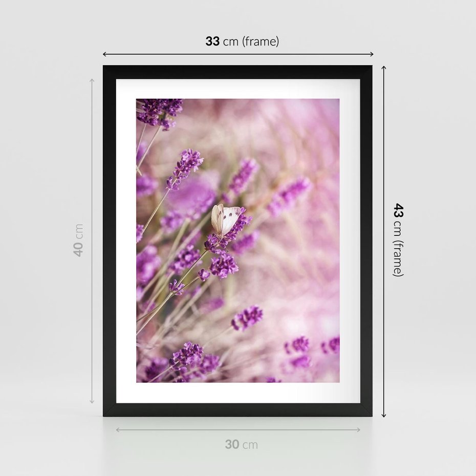 Plakat w ramie 30x40 - Majestat lawendy: fioletowe pola - lawenda, fiolet - rama czarna