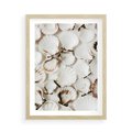 Plakat w ramie 50x70 - Białe Muszle - białe muszle, ujęcie z góry - rama drewno
