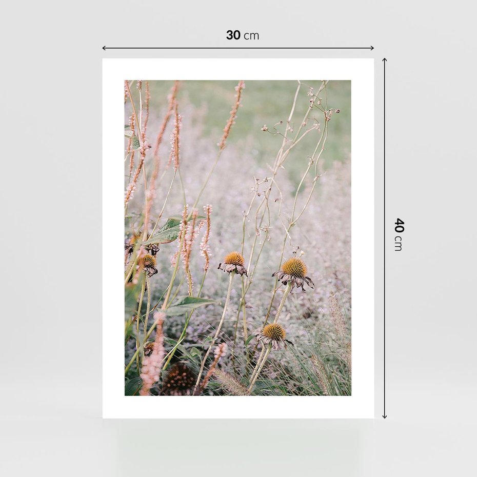 Plakat bez ramy 30x40 - Przyroda w Pełnym Blasku: Kolorowa łąka z Kwiatami - łąka, kwiaty na łące