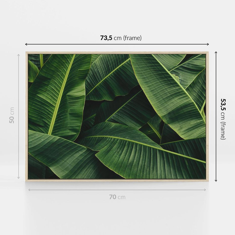 Obraz w ramie 70x50 - Zaklęta roślinna ekspresja - liście bananowca, gęsto ułożone - rama drewno